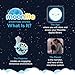 Moonlite Storytime The Ugly Duckling Storybook Reel and Projector Bundle, A Magical Way to Read Together, Fun Sound Effects, Toddler Early Learning Toys Gifts for Kids Ages 12 Months and Up