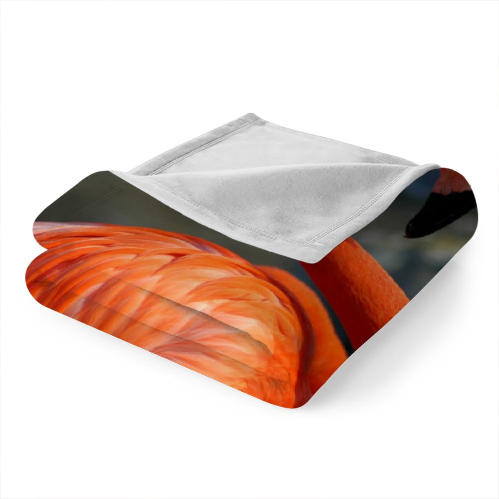 Couverture Polaire Flanelle Flamingo 150X200 Couverture Polaire Epaisse Hiver Chaude,Couverture Lit Jete De Canape 1 Personnes,Grand Chaud Et Doux,B4