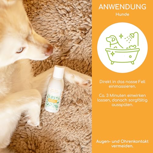Welpen Shampoo Sensitiv für Hunde – pH-neutral, ohne Parfüm, für Langhaar und Kurzhaar, 100% pflanzliche Wirkstoffe - Bei Schuppen, Juckreiz und Milben, 100ml