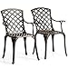 COSTWAY Lot de 2 Chaises de Salle à Manger Extérieur Polyvalentes en Fonte d'Aluminium Résistante Dossier et Assise Ajourés avec Accoudoirs pour Jardin Supporté 110 kg