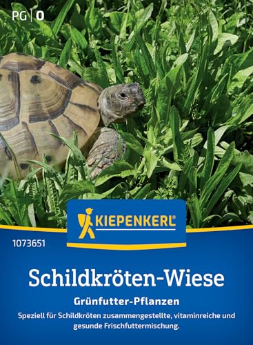 Kiepenkerl Schildkrötensamen-Mischung Grünfutter-Pflanzen 1073651 - speziell für Schildkröten - vitaminreich - gesund - frisch - Pflanzensamen, Saatgut