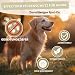 Spot On für große Hunde (ab 15 kg) - [6 Monate Floh- und Zeckenschutz] für Hunde 6x3ml – Zeckenmittel für Hunde mit natürlichen Inhaltsstoffen– Effektiver Zeckenschutz Hund