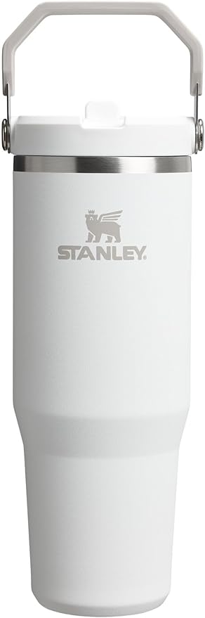 Stanley IceFlow 2.0 Flip Straw Tumbler with Handle 30 oz | Twist On Lid and Flip Up Straw | Leak Resistant Water Bottle | Insulated Stainless Steel | BPA-Free | Frost : Amazon.ca: Home