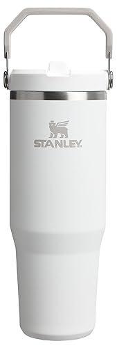 STANLEY IceFlow 2.0 Flip Straw Tumbler with Handle 30 oz | Twist On Lid and Flip Up Straw | Leak Resistant Water Bottle | Insulated Stainless Steel | BPA-Free | Frost