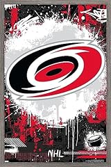 Barnwood Framed Version