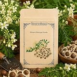 Moringa Seeds for Planting 30+ Seeds, Moringa Oleifera Seeds, Semillas de Moringa, Moringa Plant for Garden, Fast Growing Moringa Tree Seeds for Outdoor Indoor Planting
