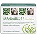 Produktbild ASPARAGUS P Filmtabletten 100 St