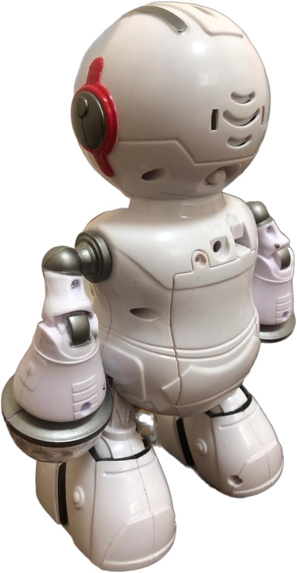 bot robot pioneer