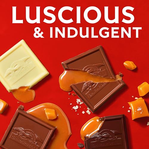 Image of GHIRARDELLI Chocolate Caramel SQUARES Assortment, 16.1 oz