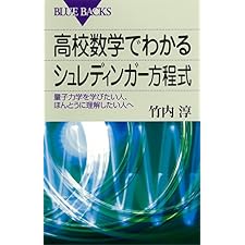 高校数学でわかるシュレディンガー方程式 : 量子力学を学びたい人、ほんとうに理解したい人へ (ブルーバックス)の表紙