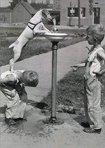 Avanti Press Kids with Dog at Water Fountain America Collection Funny/Humorous Encouragement Card
