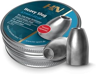 Haendler & Natermann SLUG HP Heavy .218 34gr/150S