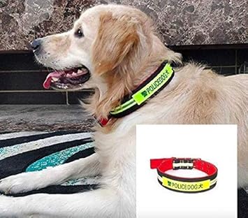 Kiki N Pooch Durable Integrated Police Dog Neon Color Nylon Patch Padded Collar for Maxi and Large Dogs (20-26 Inch)