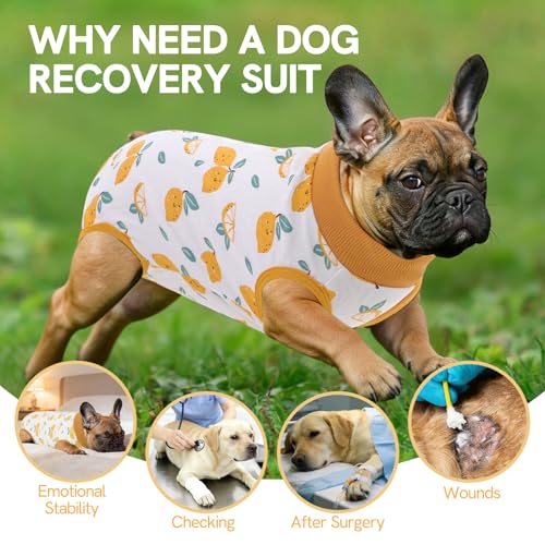 Image of SAWMONG Recovery Suit for Dogs After Surgery Professional, Dog Spay Surgical Suit for Female Dogs, Dog Onesie Bodysuit for Surgery Male Substitute E-Collar Cone, Lemon Yellow, X-Small