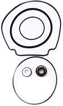 Compatible Repalcement for Pentair Whisperflo Motor Installation Seal Kit
