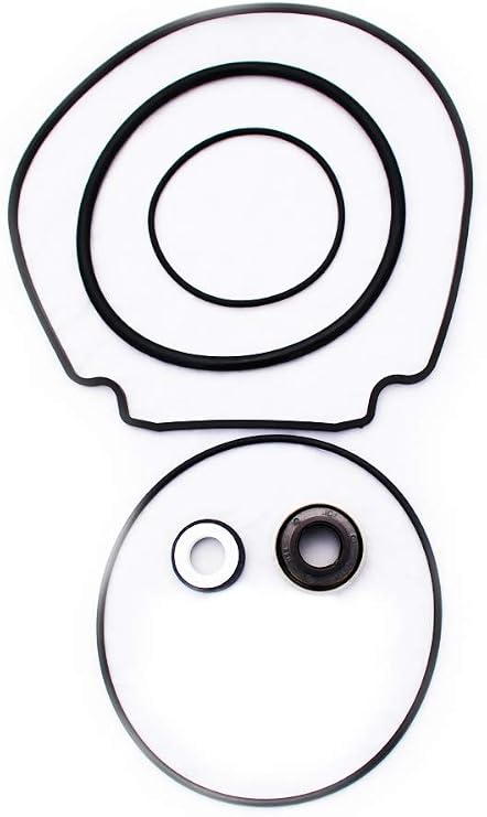 Compatible Repalcement for Pentair Whisperflo Motor Installation Seal Kit