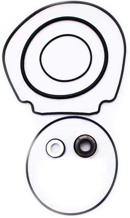 Kit de Sello Compatible para Motor Pentair Whisperflo miniatura 2