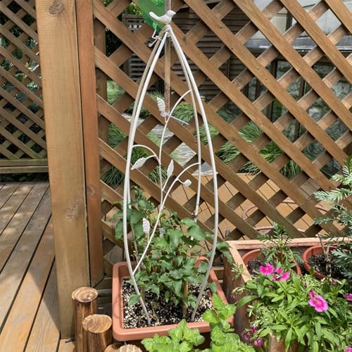 VHV IxXNAgX - ̃gȃIxXN̋̃gX̉Ԃ̃T|[gAÃT|[ggXODIY̓oRAAA̐AA؂̃T|[gXe[NAԂ̃[Y̒J̃GhẼACr[iJ[FzCgj