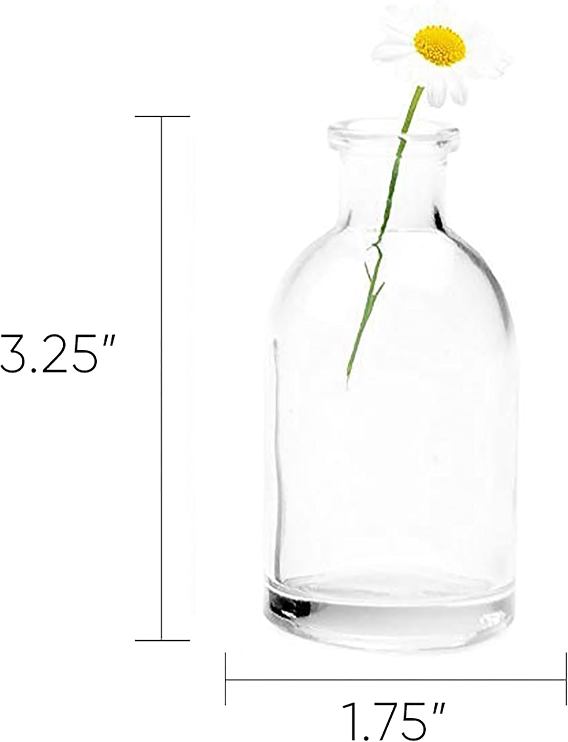 CHIVE ‘Loft’ Small Mini Flower Vases - Clear Glass Bud Vases, Set of 10 Color - Cute Vintage Rustic Centerpieces for Wedding, Events & Home - Premium Quality, Designed to Last - Image 2