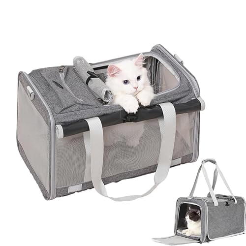 ybgL[ obO Lp p L [obO ω׏d10KG ܂ [4way y 5ʒʋC gѕ֗ L L[ L [obO (яoh~[h/xgE/􂦂}bgt) e o ԍ s ʉ@ dԈړ