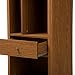Baxton Studio FP-6785-Walnut Bookcase, 15.21LX18.41WX60.26H, Walnut Brown