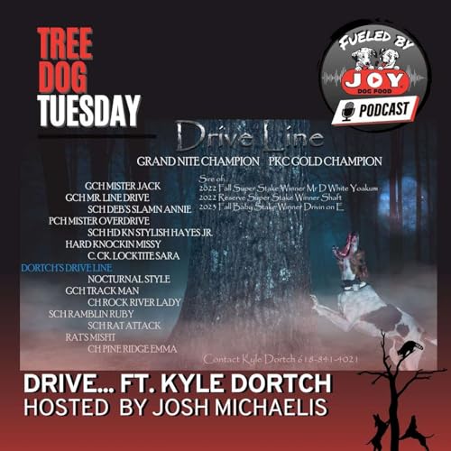 Tree Dog Tuesday: Drive........(Ft Kyle Dortch) Podcast Por  arte de portada
