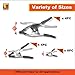Wellmax 16PC Nickel-Plated Metal Spring Clamps Set - Heavy Duty Clips for Woodworking, Photography Backdrops, and More - Includes 8pc 2 Inch, 4pc 4 Inch, and 4pc 6 Inch Clamps