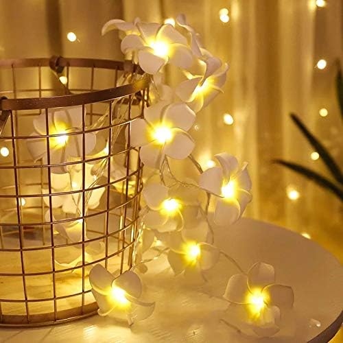2 Pcs Hawaii Led Light
