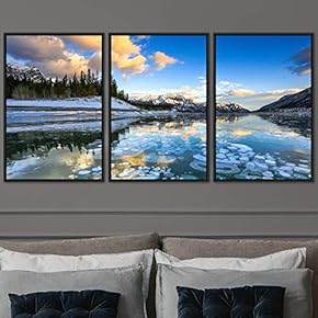 signwin 3 Piece Framed Canvas Wall Art Cool...