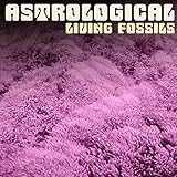 jellyfish recordings