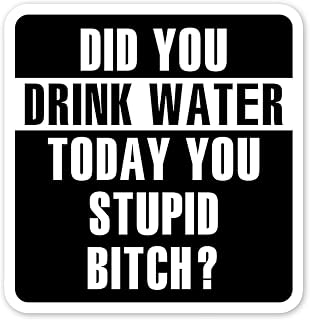 Did You Drink Water You Stupid Bitch Sticker, Funny Quotes Health Drinking Water Stickers Hydration Awareness Waterproof Vinyl Decals for Laptop Tumbler Water Bottle Mug Flask Funny Health Gifts