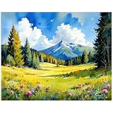 All-in-One Paint by Numbers Kit for Adults: Includes a 16x20 inch pre-printed canvas, vibrant acrylic paints, 3 brushes, easy instructions, 2 sets of hanging hooks—everything you need to start your DIY painting journey right away. High-Pigment, No-Mi...