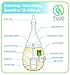 Raindrop Nebulizing Diffuser - Waterless diffuser For Essential Oils Aromatherapy - Wood Base, Glass Top - Fills Big Rooms In Minutes With Organic Aromas - Two Scents by VINEVIDA (Light Wood)