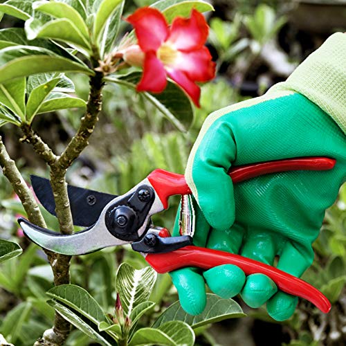 Hortem Long Reach Pruner Set, 35-Inch Hold Long Reach Cut Garden Tree Pruner with Flexible Hand Grip and Lightweight Bypass Pruning Shear, Gardening Shears for Lawn Care