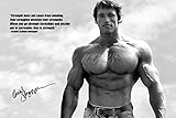 arnold schwarzenegger autogramm kaufen Das CX-ICONS-Wasserzeichen wird auf dem Fotodruck nicht zu sehen sein.