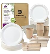 Wegwerpservies voor restaurants & take|aways