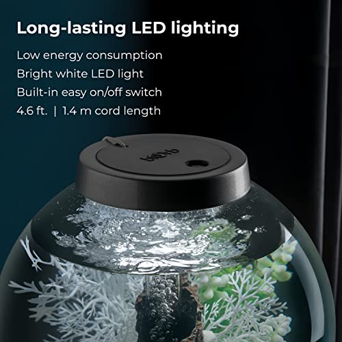 Image of biOrb Classic 30 Acrylic 8-Gallon Aquarium with White LED Lights Modern Tank for Tabletop Display, Silver