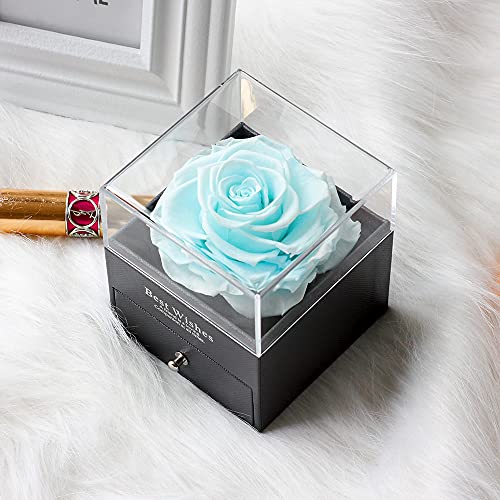 Sdfghg Preserved Real Blue Rose With Love You Necklace In 100 Languages Gift Set, Enchanted Real Rose Flower For Mother's Day Gift, Valentine's Day Anniversary Wedding Bthday Romantic Gifts For Her #TOP4
