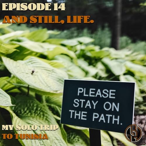 Episode 14 &mdash; And Still, Life | My Solo Trip to Tunisia