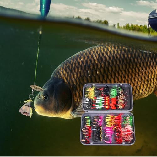 Kit de leurres de pêche à la mouche réalistes pour lacs et rivières - 2