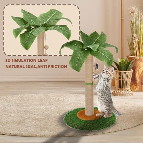 HOMYHANDS Kratzbaum für Katzen und Kätzchen im Innenbereich - 60 cm hoher Kratzbaum mit Sisalseil, Palmen-Kratzbaum mit hängendem Ball (60 cm)