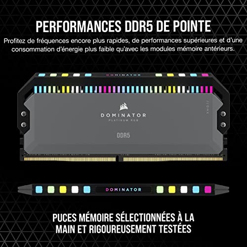 Image of CORSAIR Dominator Platinum RGB DDR5 64GB (2x32GB) DDR5 6000MHz CL30 AMD Expo Intel XMP iCUE Compatible Computer Memory - Gray (CMT64GX5M2B6000Z30)