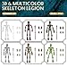 Lechonix 6 Pack T13 Action Figures Set, Skeleton Action Figure, Dummy 13, Titan 13 Mini Skeletons, Action Figures for Boys 3D Printed Toys Multi-Jointed Movable for Party Gifts, DIY Assembly Required