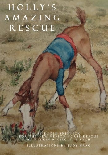 Holly's Amazing Rescue: 1 (A Walkin N Circles Rescue Series Book)