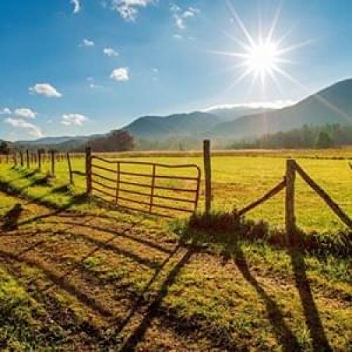 Lil Tracy & The Big E