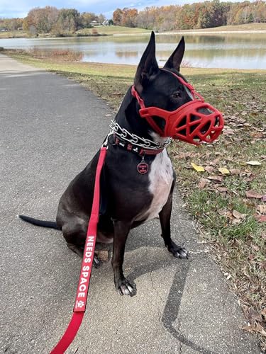 Image of Mayerzon Dog Muzzle, Breathable Basket Muzzles for Small, Medium, Large and X-Large Aggressive Dogs Beagle German Shepherd Doberman, Cage Mouth Guard Stop Biting Chewing for Grooming Training