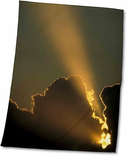 3dRose USA Florida Miami Sunbeam - US10 MWT0002 - Michele Westmorland - Towels twl-89253-2