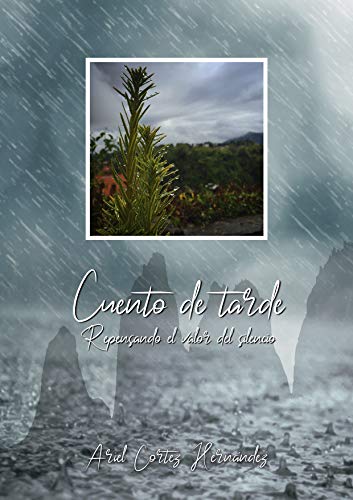 Cuento de tarde: Repensando el valor del silencio (Spanish Edition)