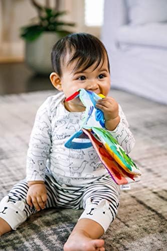 Baby Einstein Curious Explorers Teether Book - 5