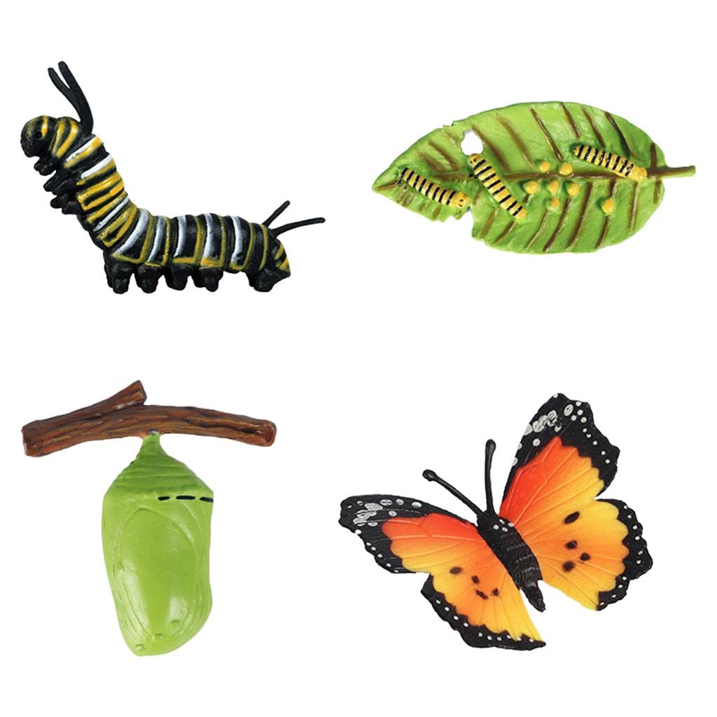 HuadaXtai Papillon Jouet Cycle de Vie Animal Jouet Croissance Insecte Jouet Développement Éducatif en Plastique Adapté Aux Enfants Enseignement Découverte Natur, B